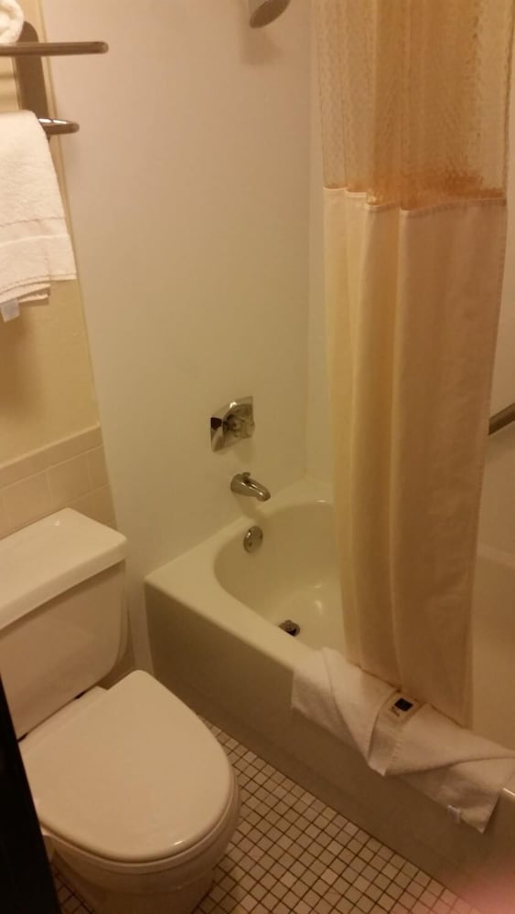 AmericInn by Wyndham Forest Lake - photo 31