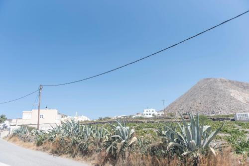 Pure and Simple Santorini — Emporio — photo 2