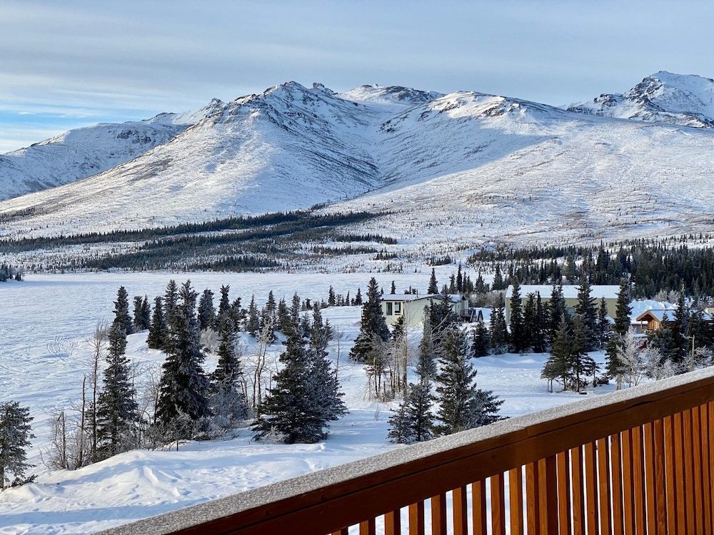 Denali Lakeview Inn - photo 17