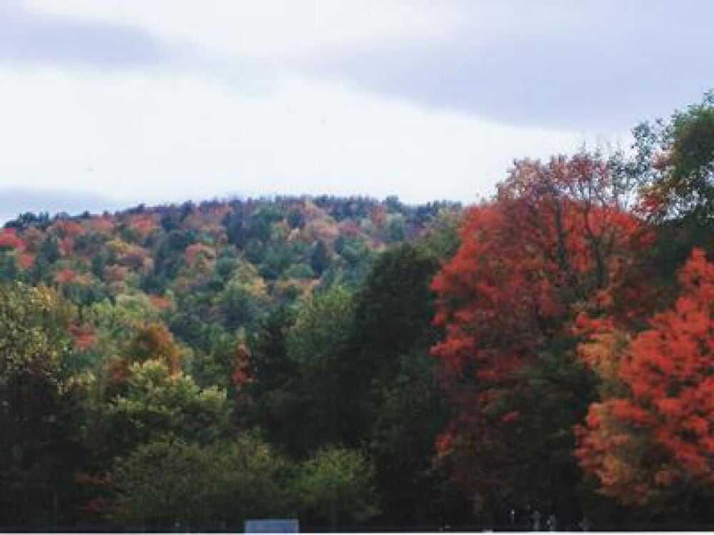 Sturbridge Country Inn - photo 29