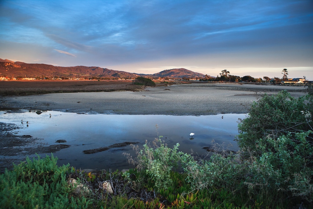 Holiday Inn Express & Suites Carpinteria by IHG - photo 45