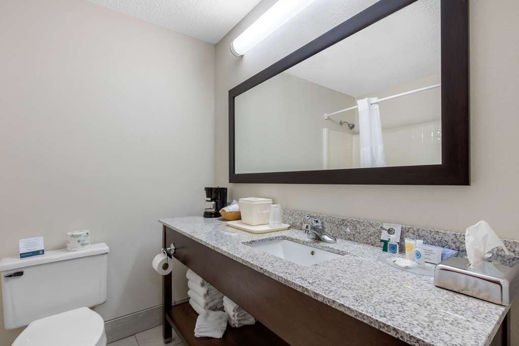 Quality Inn & Suites Mountain Home North - photo 30