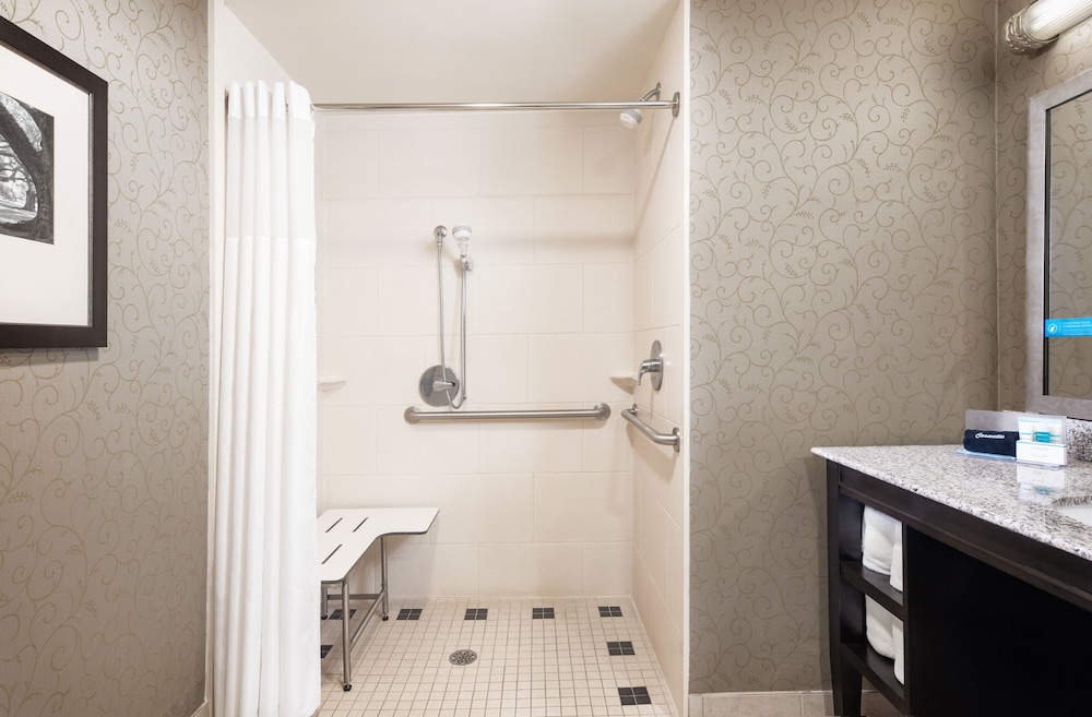 Hampton Inn & Suites Baton Rouge Downtown - photo 27