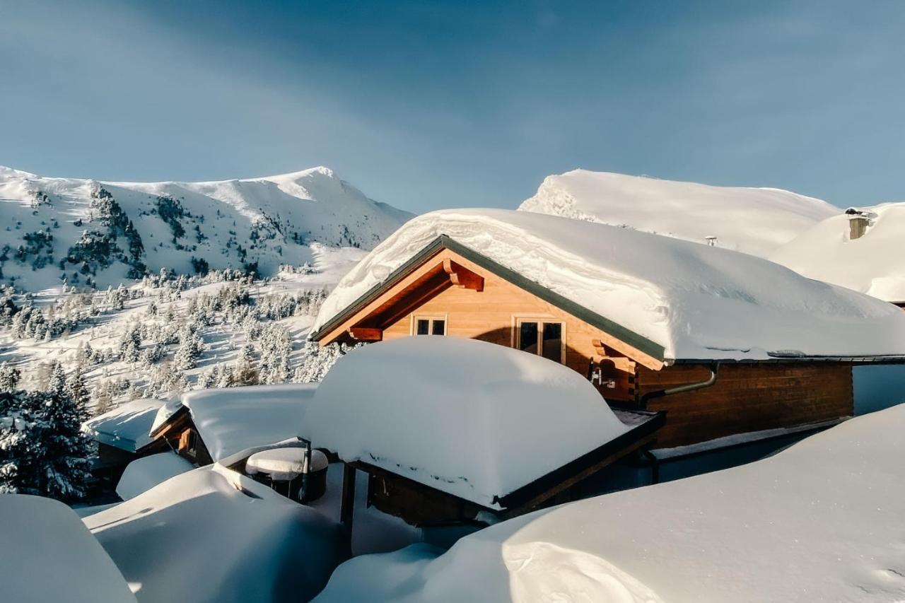 Heidi Chalets Falkertsee Luxuschalet Bergwinter in Reichenau Im Muehlkreis, Austria