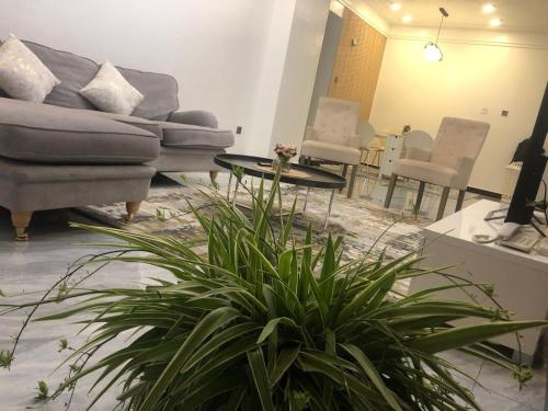 Zia Homes