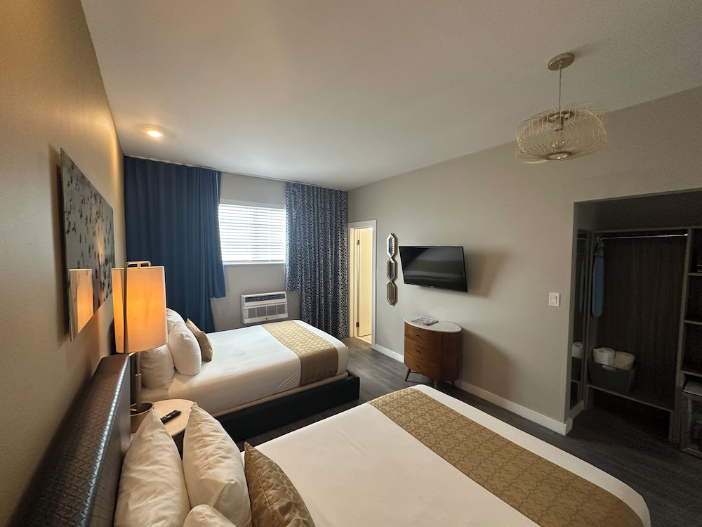 Dorset Hotel - photo 24