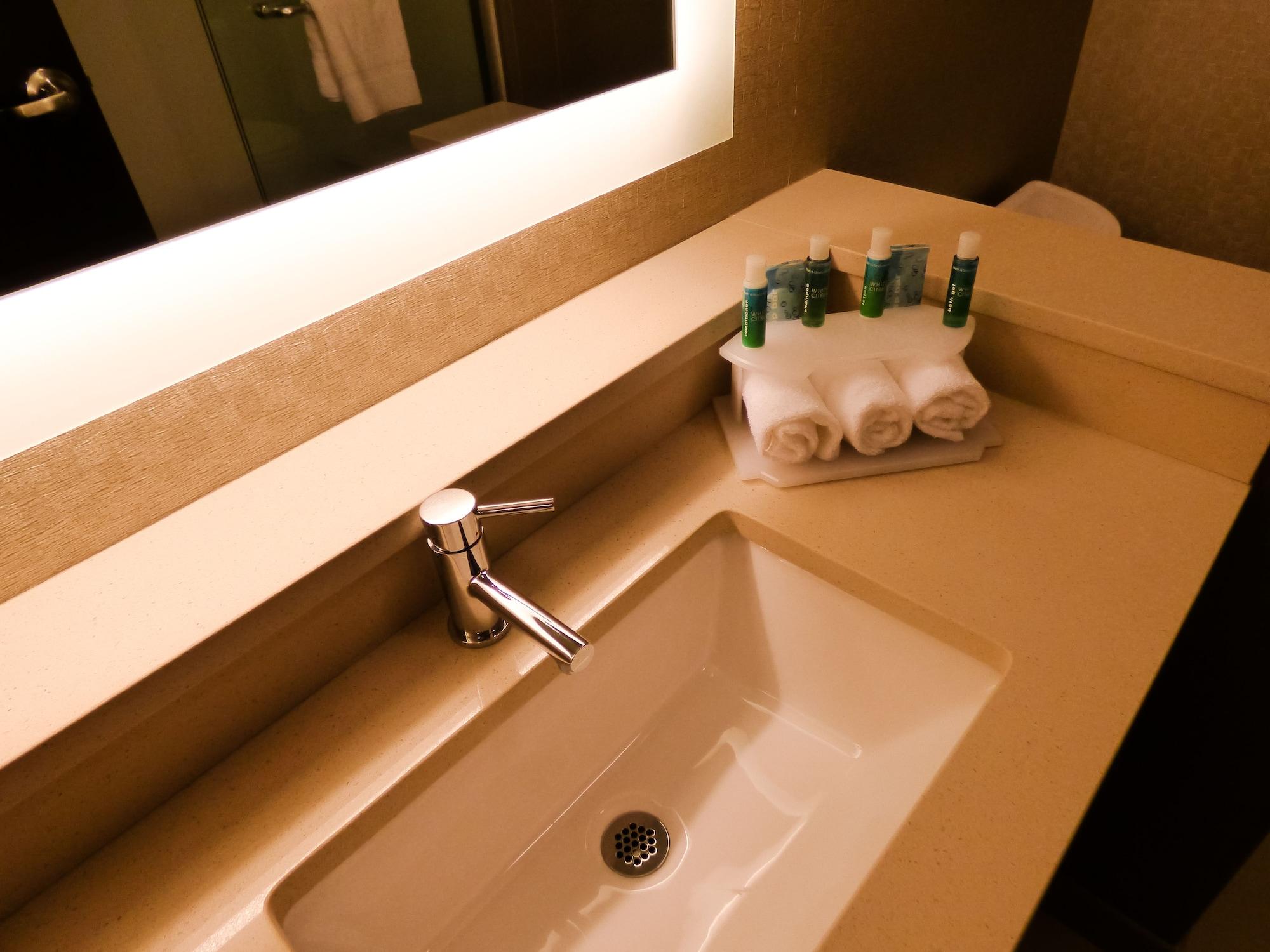 Holiday Inn Express & Suites Plymouth Ann Arbor Area by IHG - photo 26