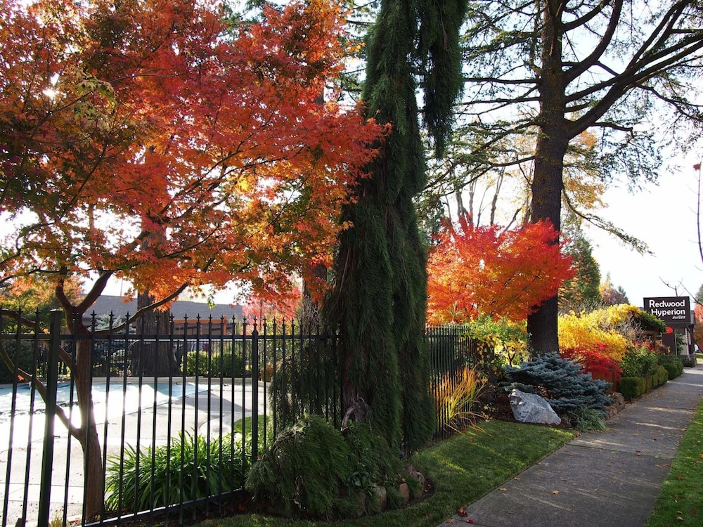 Redwood Garden Inn - photo 22