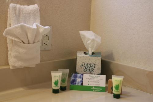 My Place Suites - photo 5