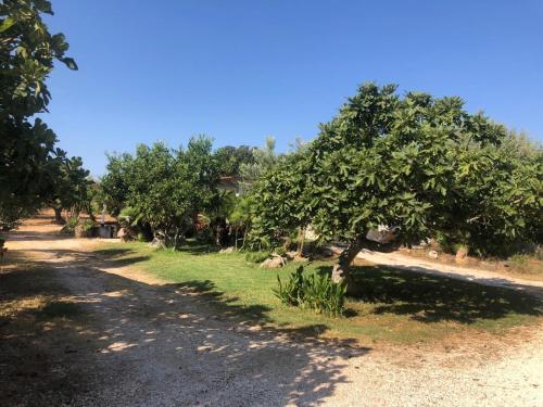 NicChia Turchese in Orosei, Italy