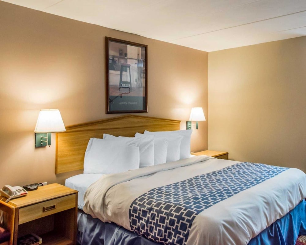 Econo Lodge Franklin Springboro - photo 19