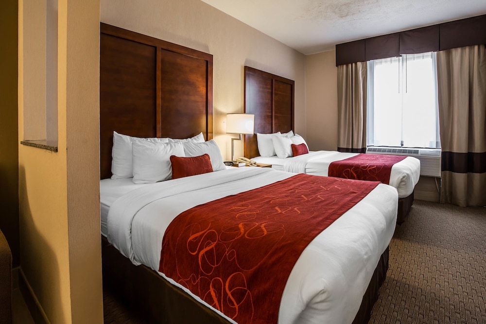 Comfort Suites Stafford Near Sugarland - photo 6