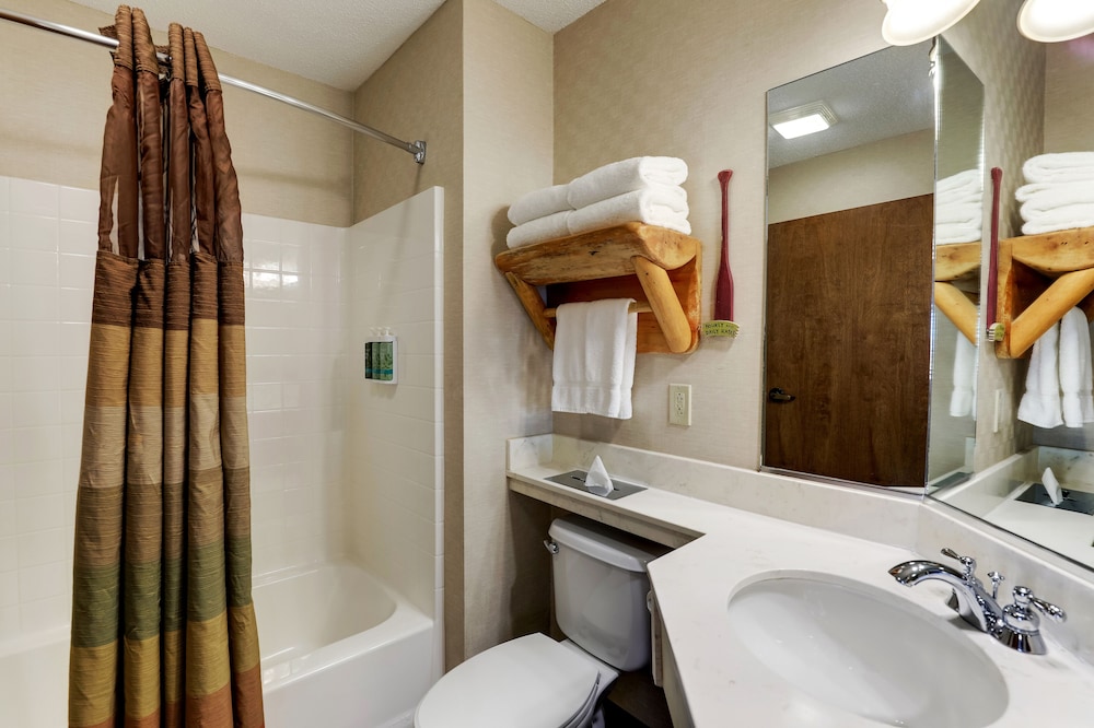 Stoney Creek Hotel Quad Cities Moline - photo 32