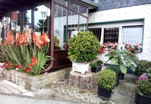 Zur Kastanie in Muelheim, Germany