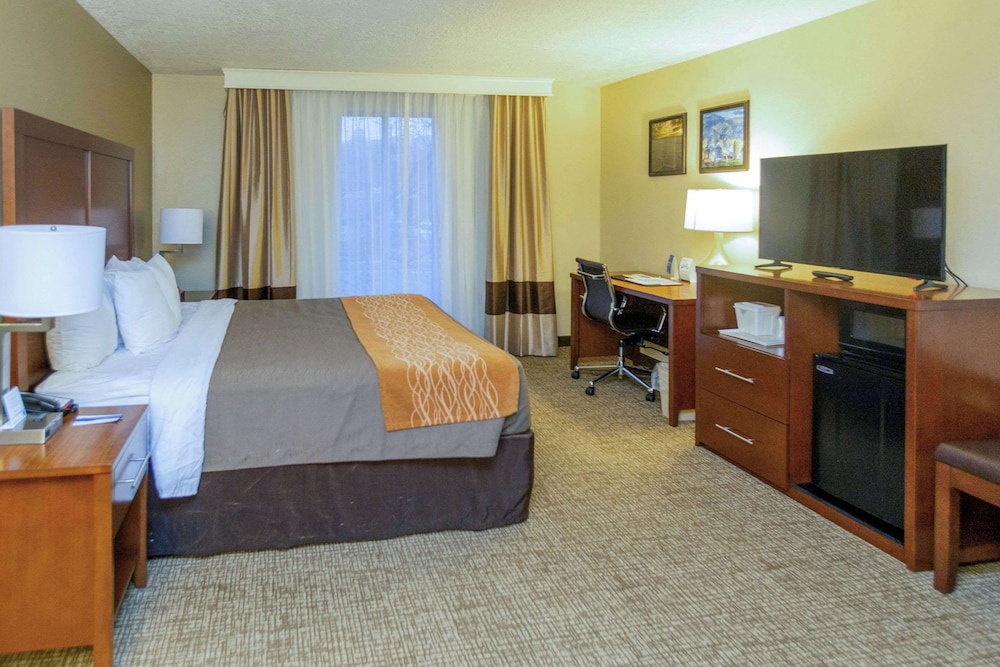 Comfort Inn Salt Lake City Downtown - photo 35