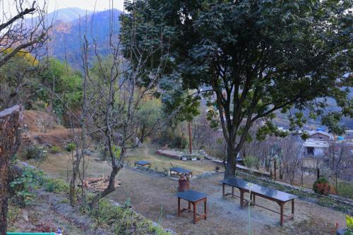 Laughter Love Live — hotel in Kotla