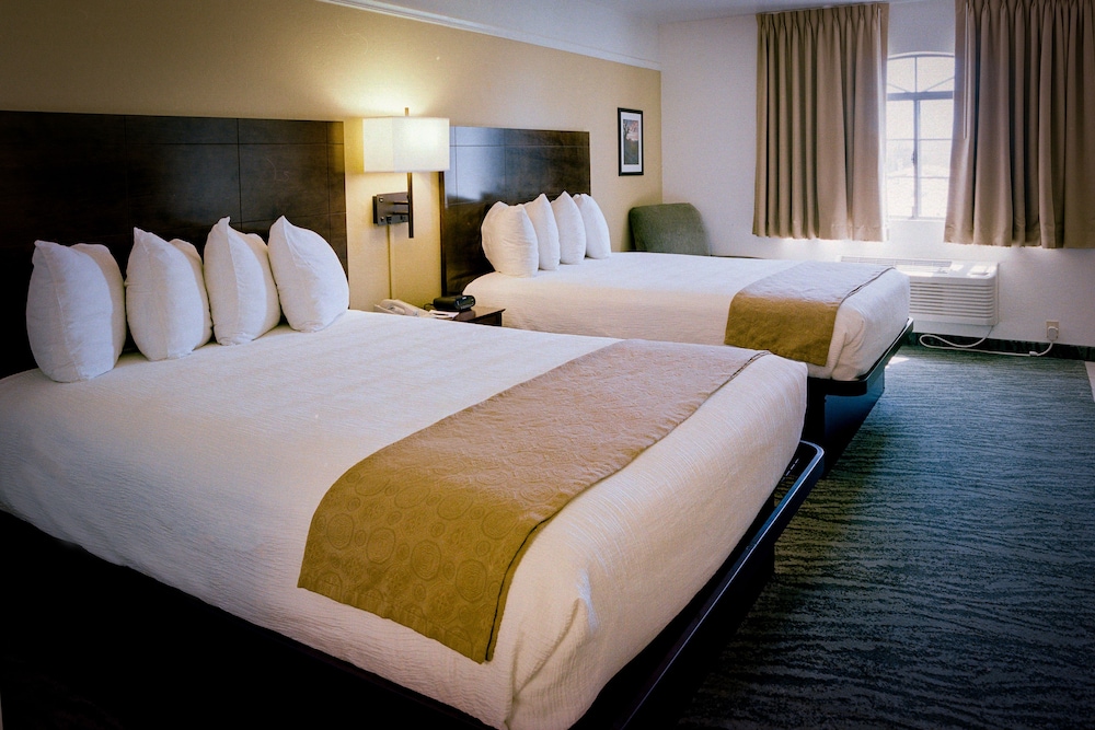 Pines Inn & Suites - photo 16