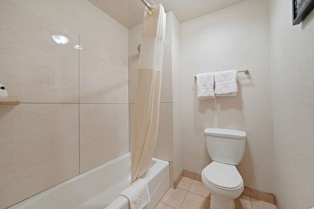 Best Western Plus Executive Inn & Suites - photo 38