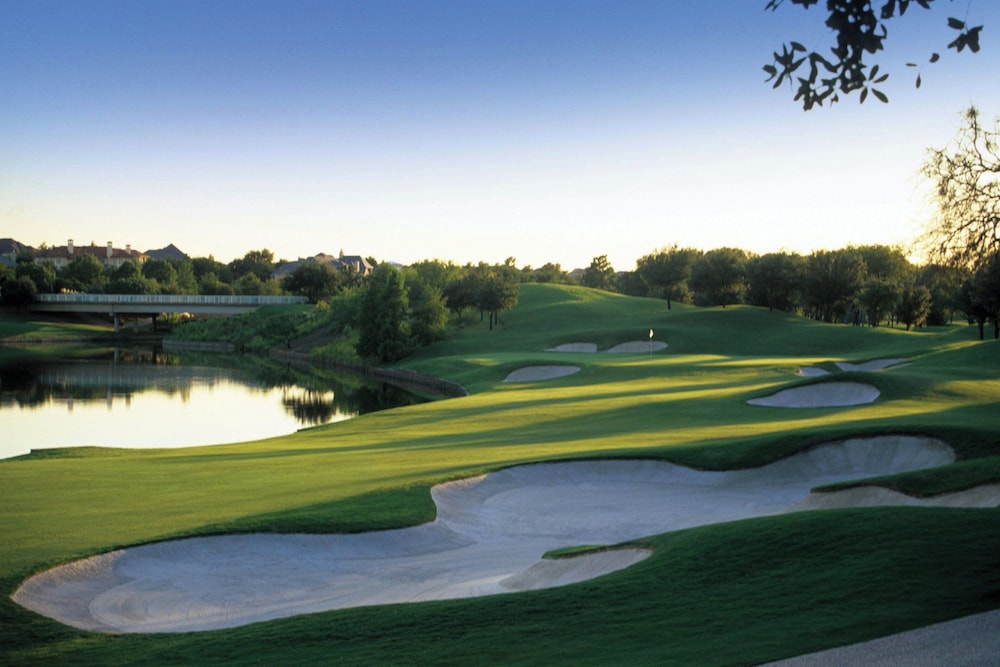 The Ritz Carlton Dallas Las Colinas - photo 127