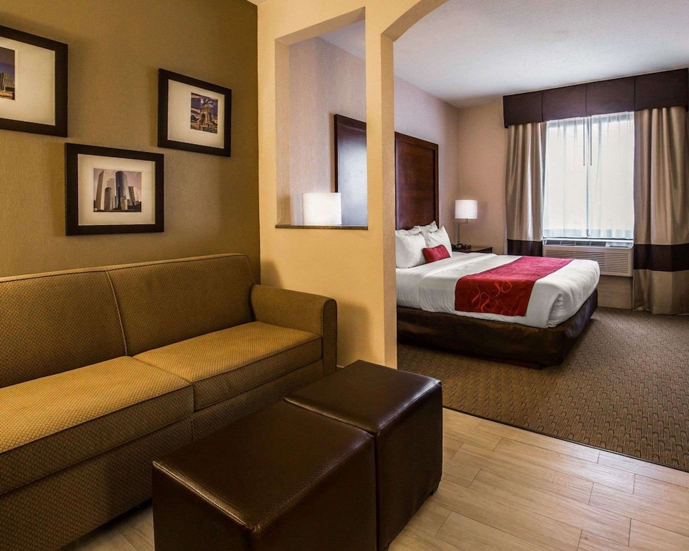 Comfort Suites Stafford Near Sugarland - photo 13
