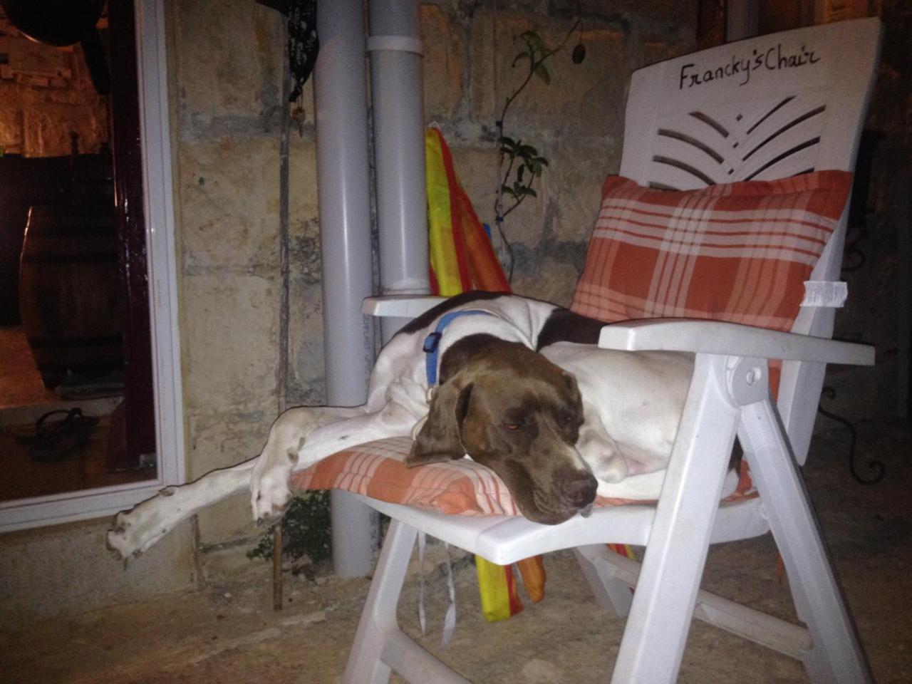Secco’s Seaview Accommodation — Mgarr — photo 2