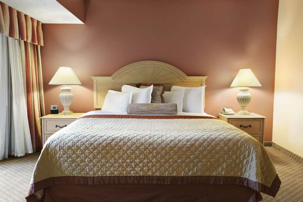 Wyndham El Paso Airport Hotel & Waterpark - photo 8