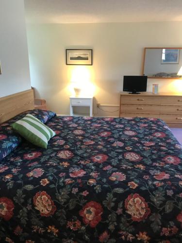 Four Seasons Motor Inn - photo 35