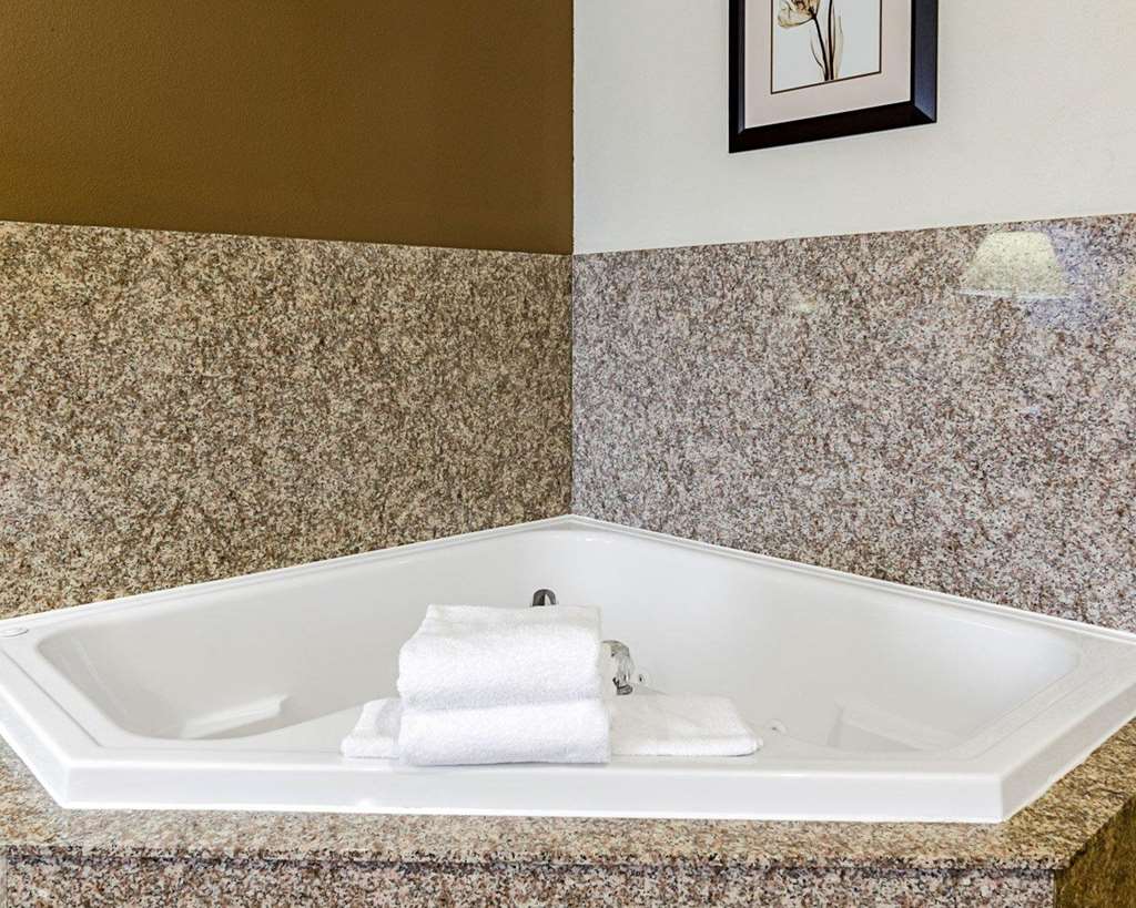 Comfort Inn & Suites Lawrence University Area - photo 20