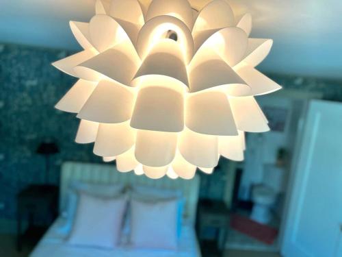 Buttonwood Boutique Hotel - photo 66