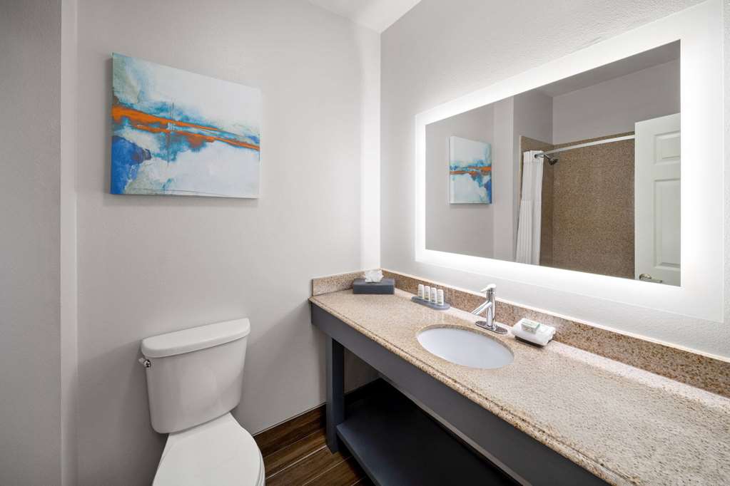 La Quinta Inn & Suites by Wyndham Angleton - photo 35