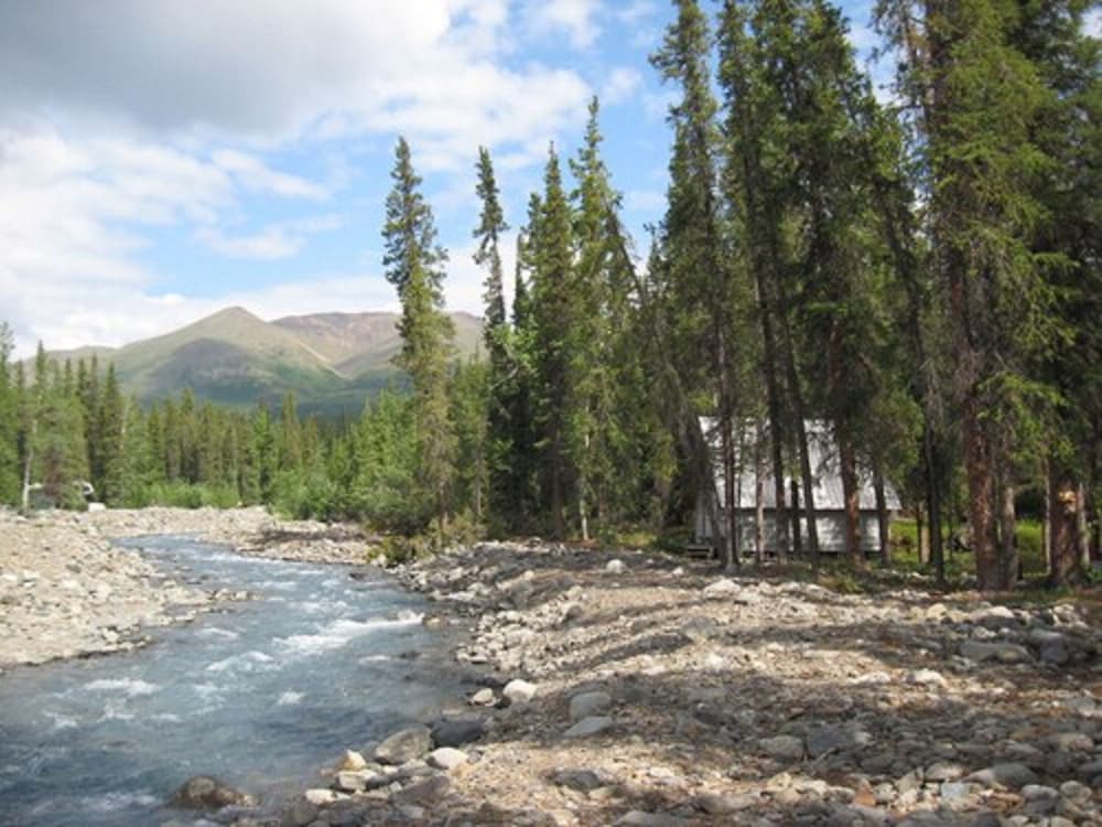 Denali Perch Resort - photo 20