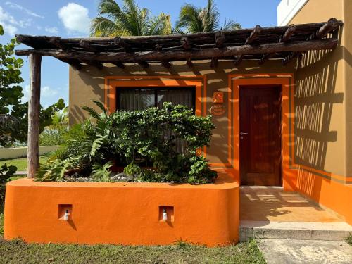 Hotel Manglares Cabaña Fragata in Celestun, Mexico