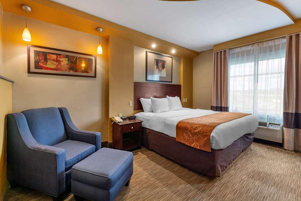 Comfort Suites Perrysburg Toledo South - photo 17