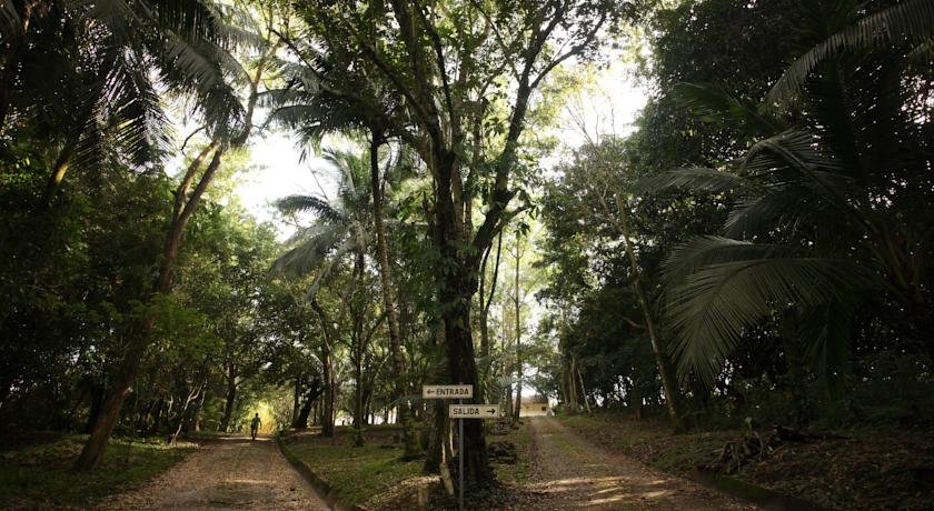 Hotel & Suites Casa Lakyum in Palenque, Mexico