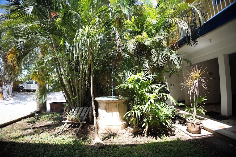 Hotel Nicte Ha — Campeche — photo 4