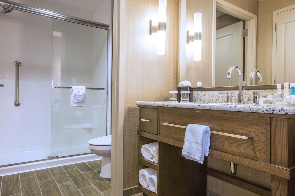 Hampton Inn Houston Downtown - photo 15