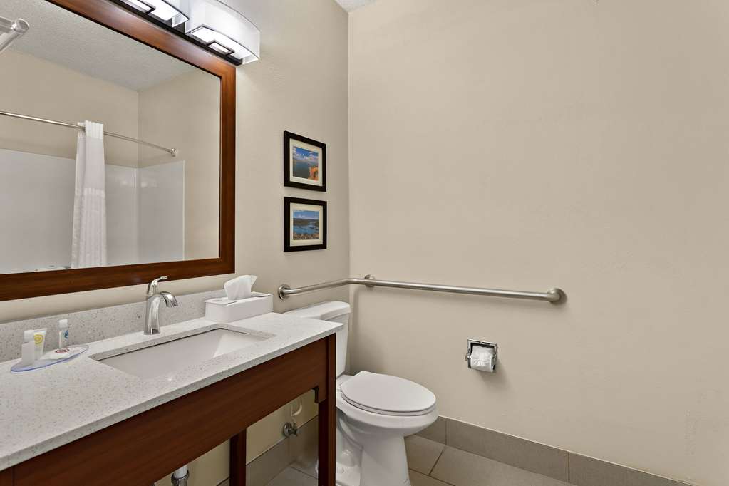 Comfort Suites University Las Cruces - photo 14