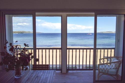 Pin Laricio in Grimaud, France