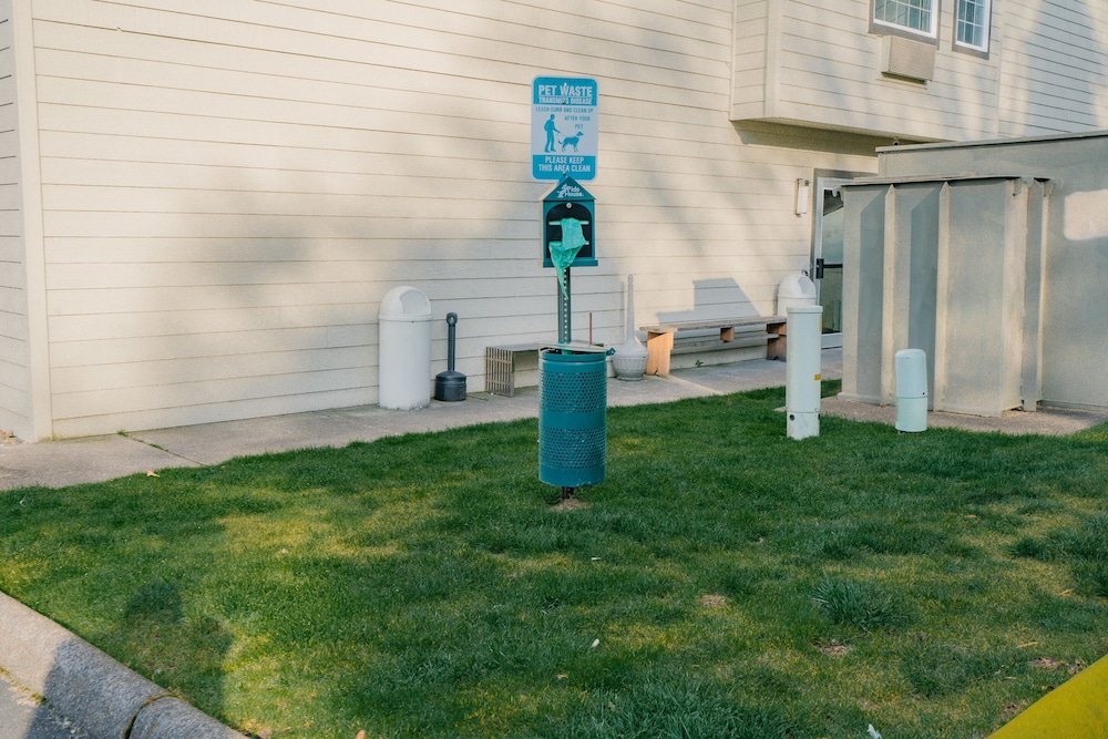 The Ashley Inn & Suites - photo 62
