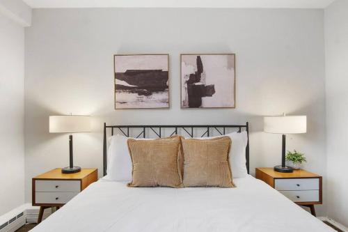1BR Chic and Cozy Apartment in Chicago Hyde Park 408 — 4-Star Luxury Hotel in Chicago, United States