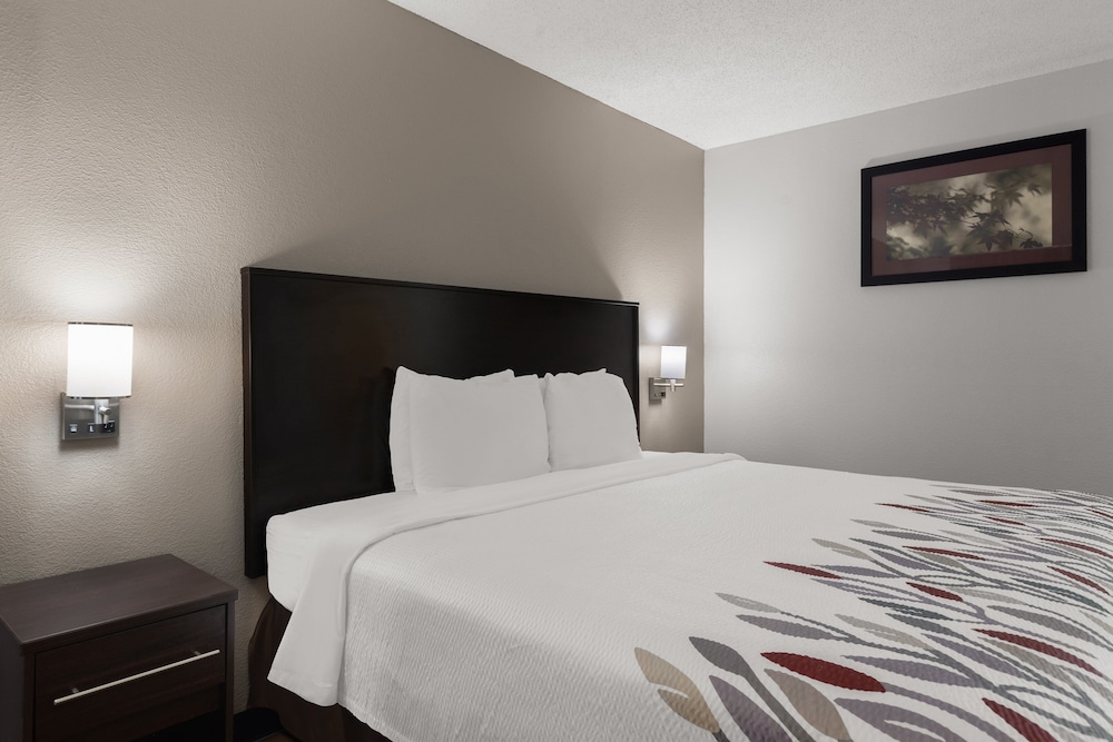 Red Roof Inn & Suites Savannah Airport - photo 16