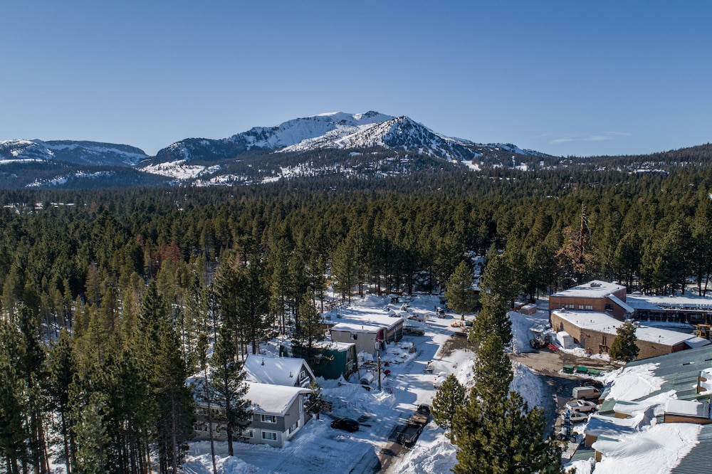 Cinnamon Bear Inn - photo 126