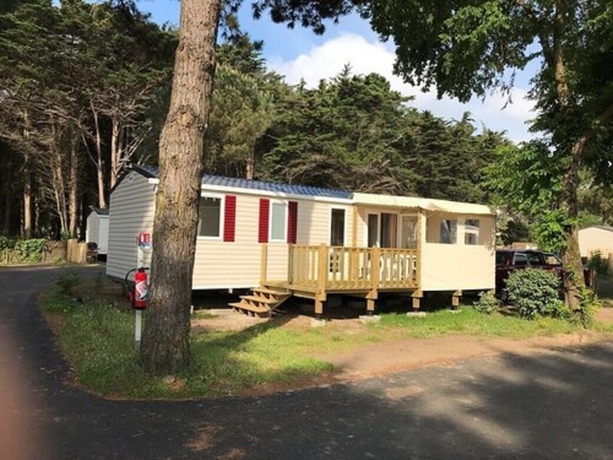 Sterne caugek in Quiberon, France