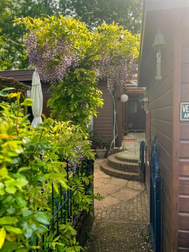 Boshuisjes Veluwe Lila Met Omheinde Tuin — Putten