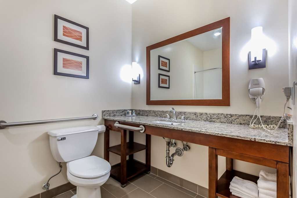 Comfort Inn Apalachin Binghamton W Route 17 - photo 11