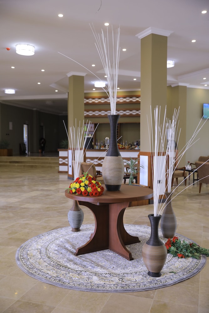 Haile Resort Adama — Nazret — photo 3