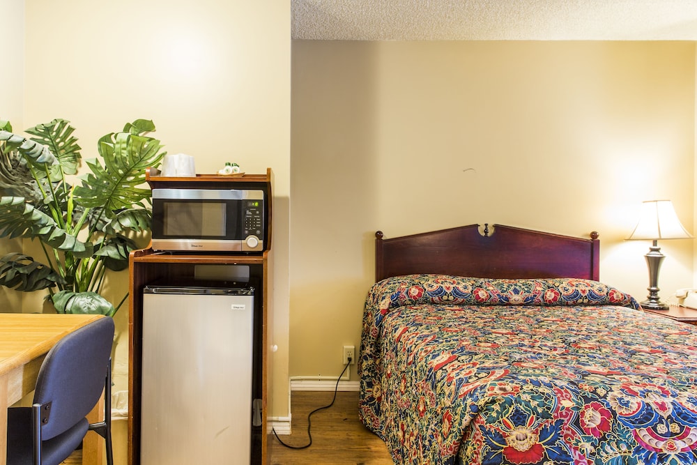 San Luis Inn And Suites - photo 5
