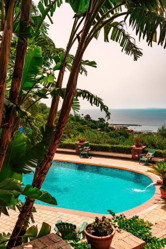 Pool Appartament — 4-Star Luxury Hotel in Ischia, Italy