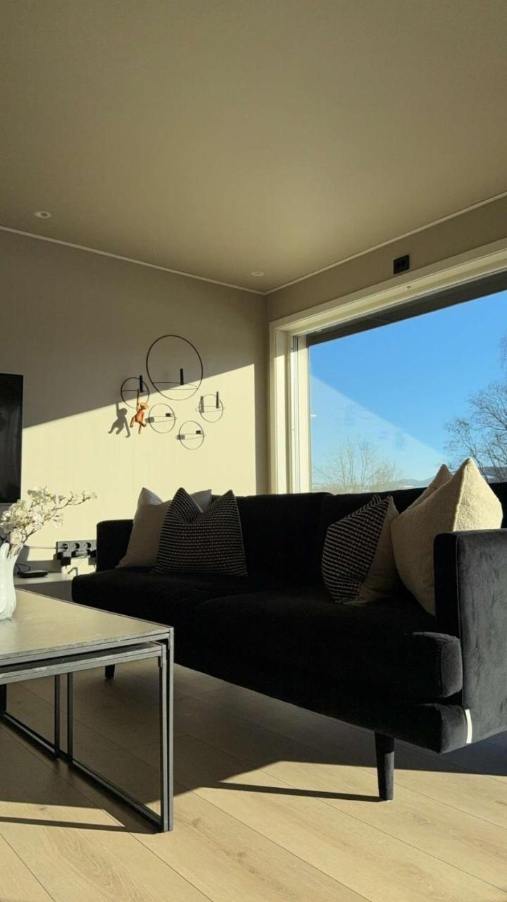 Stor Enebolig Med Stor Inngjerdet Hage Og Lekestativ Perfekt For Barnefamilier — Jevnaker