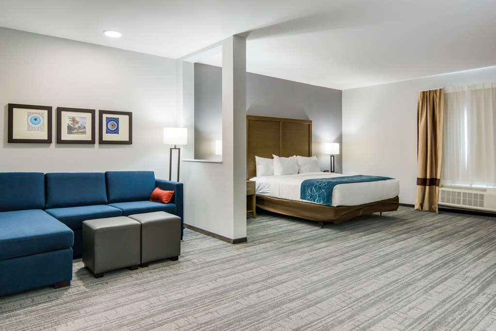 Comfort Suites DeSoto Dallas South - photo 19
